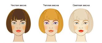 Cómo elegir el color de cabello adecuado, según el tipo de apariencia. Tinte para el cabello para un tipo de color frío.