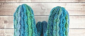 How to crochet men's, women's and children's mittens: description and patterns