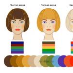 Как выбирают цвет волос правильно, в зависимости от типа внешности Краска для волос для холодного цветотипа